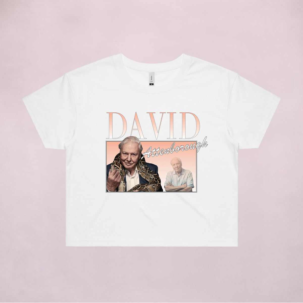 Ogo Merch Crop Tees White / Extra Small David Attenborough Commemorative Classics Crop Tee